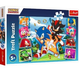 Puzzle 100 elementów Poznaj Sonica Sonic - Sklep Gebe