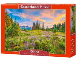 Puzzle 2000 elementów Górska polana Blossom of Morning Castor - Sklep Gebe