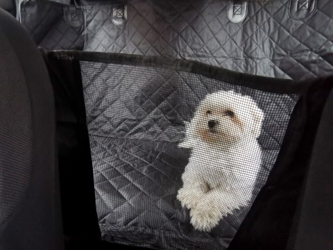 Mata dla psa do samochodu na siedzenie wodoodporna czarna Kik Sp. z o. o. Sp. k.