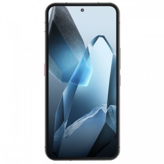 Smartfon WP200 Pro 5G 24GB/1TB IP69K Szary OUKITEL