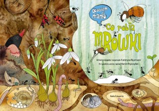 Książeczka Opowiem ci mamo, co robią mrówki Nasza księgarnia