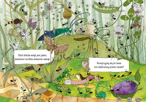 Książeczka Opowiem ci mamo, co robią mrówki Nasza księgarnia