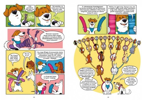 Książeczka Psy - od drapieżników do obrońców Nasza księgarnia