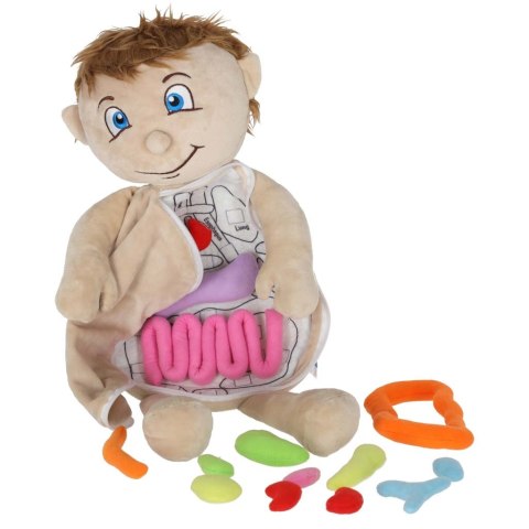 Lalka maskotka nauka anatomii chłopiec Kik Sp. z o. o. Sp. k.