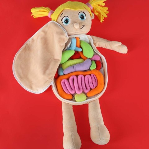 Lalka maskotka nauka anatomii dziewczynka Kik Sp. z o. o. Sp. k.