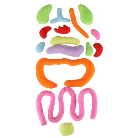 Lalka maskotka nauka anatomii dziewczynka Kik Sp. z o. o. Sp. k.