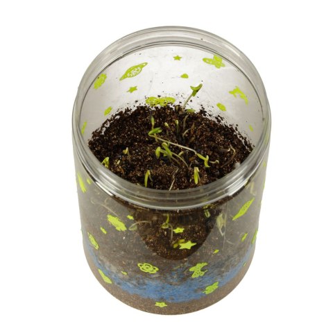 Hodowla dinozaurów terrarium projektor z lampką nocną LED Kik Sp. z o. o. Sp. k.