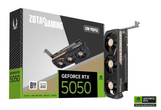 Karta graficzna GeForce RTX 5050 LP 8GB GDDR6 128bit 2DP/HDMI ZOTAC