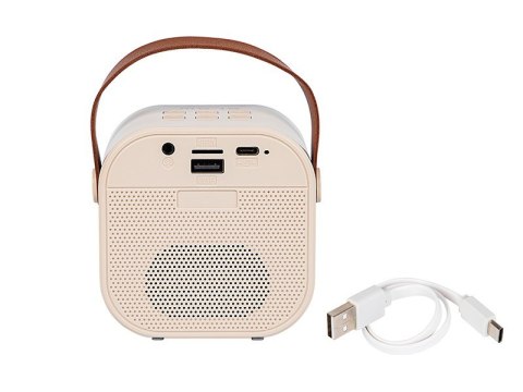 Głośnik Bluetooth Karaoke RGB BLOW