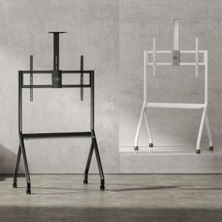 Stojak do TV na kółkach MC-114W Maclean