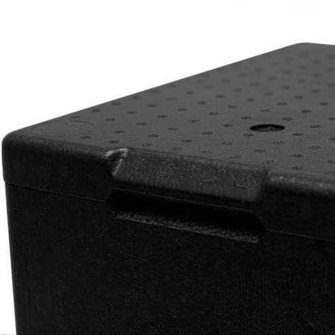Termobox pudełko termiczne z pokrywką do żywności leków 395x295x320mm 20L ARPACK
