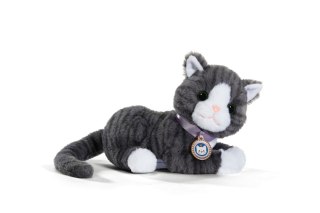 Maskotka interaktywna Baby Born Mój Kot Cookie z pudełkiem Zapf