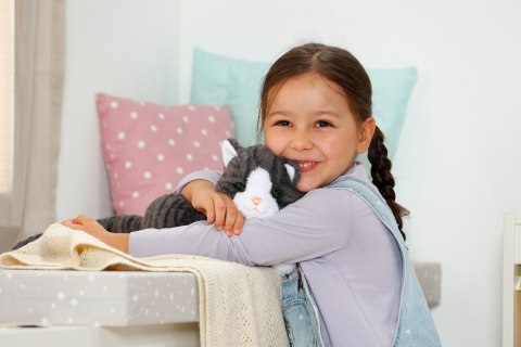 Maskotka interaktywna Baby Born Mój Kot Cookie z pudełkiem Zapf