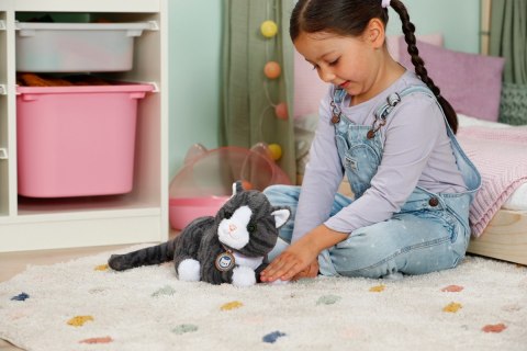 Maskotka interaktywna Baby Born Mój Kot Cookie z pudełkiem Zapf