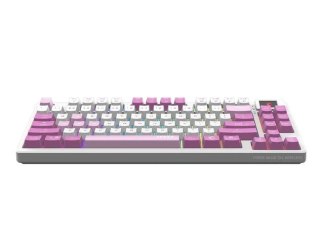 Klawiatura gamingowa Forge GK600 TKL W Violet US MSI