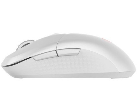 Mysz bezprzewodowa Versa 300 Wireless White MSI