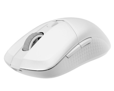 Mysz bezprzewodowa Versa 300 Wireless White MSI