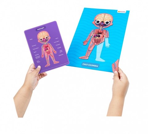 Zestaw Playshifu My super human body - Ciało człowieka Dante