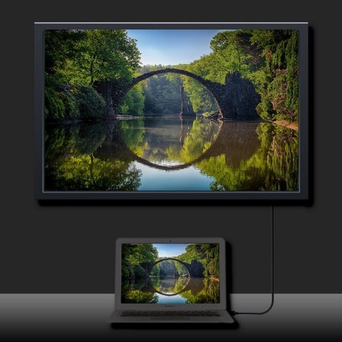 Kabel DisplayPort v1.2 męski | DisplayPort v1.2 męski | 4K | 2m Qoltec