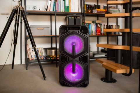 Głośnik APA20 system audio Bluetooth Karaoke PRIME3