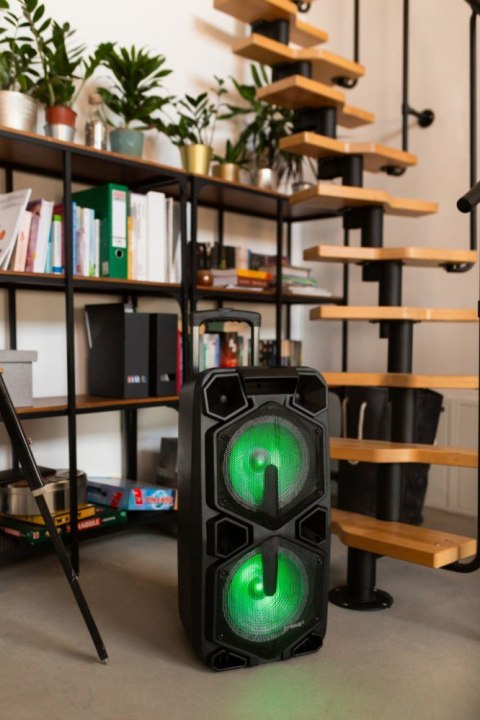 Głośnik APA20 system audio Bluetooth Karaoke PRIME3