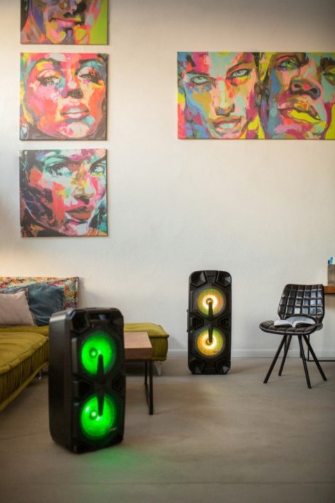 Głośnik APA20 system audio Bluetooth Karaoke PRIME3