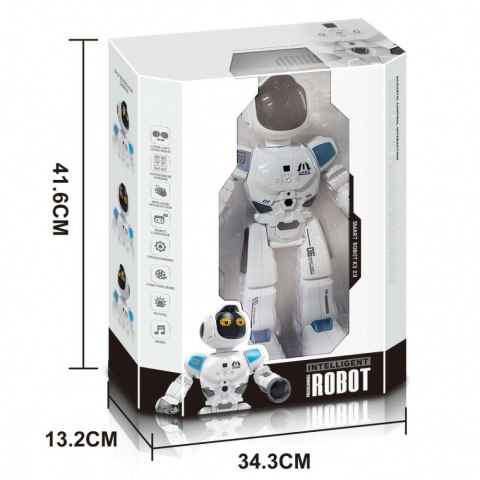 Robot R/C Madej