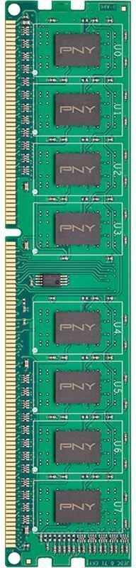 Pamięć 8GB DDR3 1600MHz DIM8GBN12800/3-SB PNY