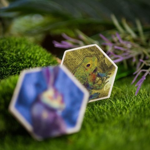 Gra Szepczący Las Muduko