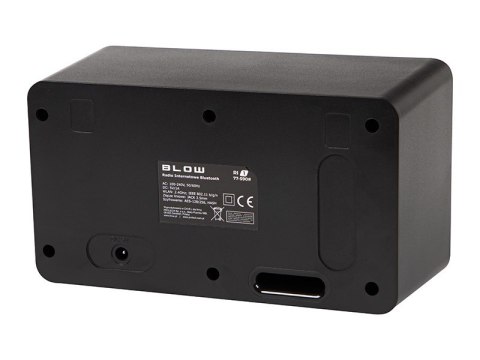 Radio przenośne RI1 internetowe BLOW