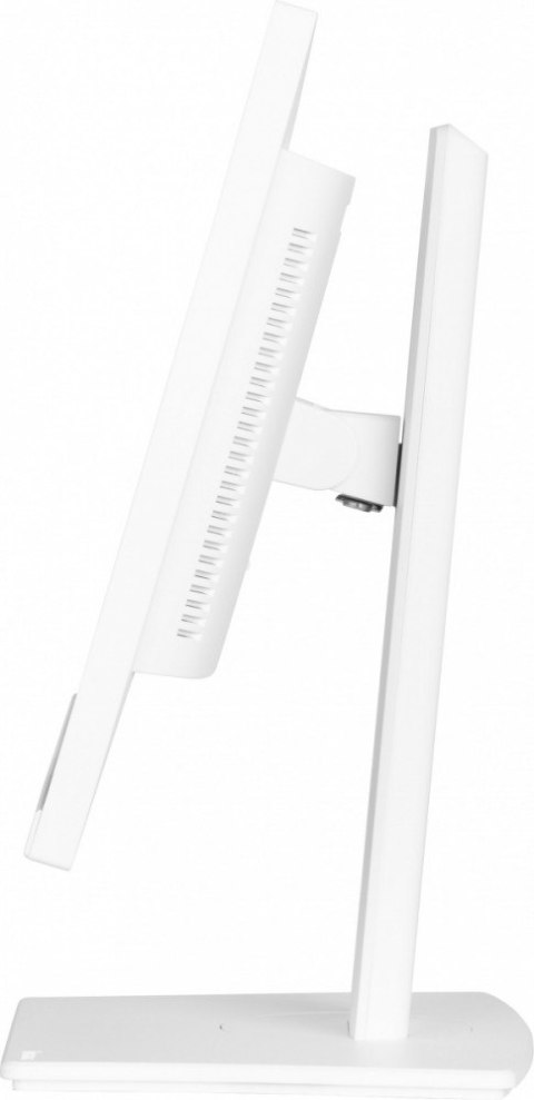 Monitor 24 cale XUB2497HSN-W2 IPS, USB-C Dock, HDMI, DP, 300cd, Pivot, HAS, biały /5y/ IIYAMA