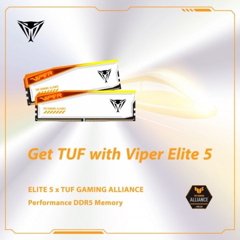 Pamięć DDR5 Viper Elite 5 RGB TUF 32GB/6600 (2x16GB) CL34 Patriot
