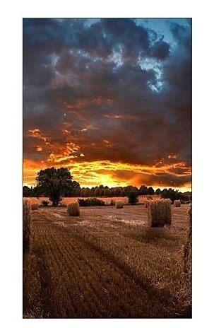 Monitor profesjonalny VM55B-U 55 cali Video Wall Matowy 24h/7 500(cd/m2) 1920 x 1080(FHD) N/A 3 lata On-Site (LH55VMBUBGBXEN) Samsung