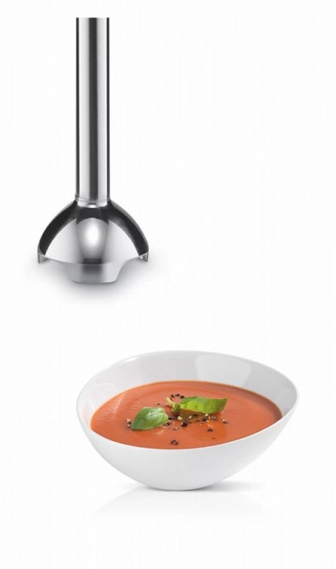 Blender ręczny MSM24100 Bosch