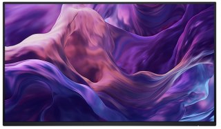 Monitor 23.8 cala P2425HEWO IPS 1920x1080/16:9/HDMI/DP/USBC/RJ45/USB/No stand/3Y Dell