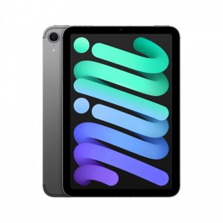 IPad mini Wi-Fi + Cellular 256GB Gwiezdna szarość Apple