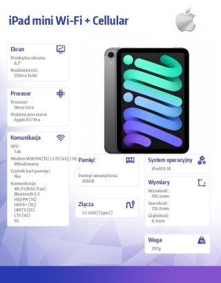 IPad mini Wi-Fi + Cellular 256GB Gwiezdna szarość Apple