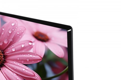 Telewizor LED 32 cale 32WA2363DG Toshiba