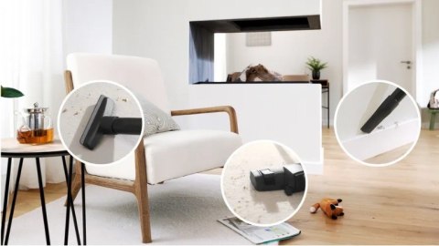 Odkurzacz workowy BGB41PET1 ProAnimal Bosch