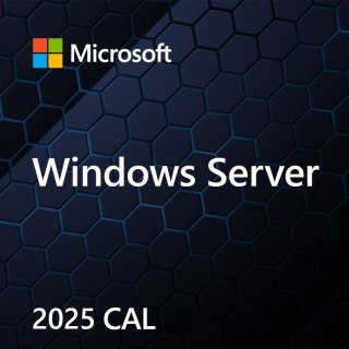 OEM Win Svr CAL 2025 Device ENG 1Clt EP2-25225 Microsoft
