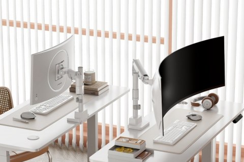 Ramię biurkowe pojedyncze z zaciskiem i sprężyną gazową 1x LCD max. 57" 27kg, VESA: 75x75, 100x100, białe Digitus