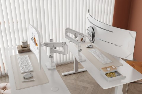 Ramię biurkowe pojedyncze z zaciskiem i sprężyną gazową 1x LCD max. 57" 27kg, VESA: 75x75, 100x100, białe Digitus