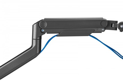 Ramię biurkowe pojedyncze z zaciskiem i sprężyną mechaniczną 1x LCD max. 49" 20kg, VESA: 75x75, 100x100, czarne Digitus