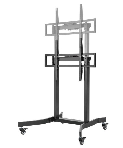 Stojak mobilny 55-100 cali 120kg elektryczny Techly