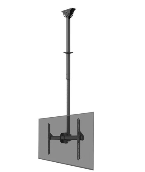 Uchwyt do monitora/TV CL35-440BL16L 37-70 cali 50kg Neomounts