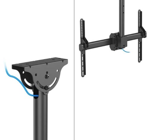 Uchwyt do monitora/TV CL35-440BL16L 37-70 cali 50kg Neomounts