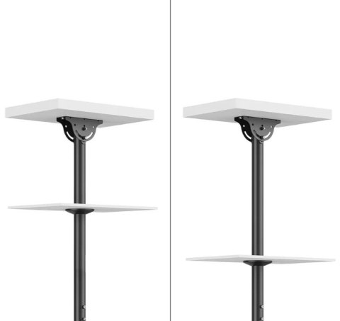 Uchwyt do monitora/TV CL35-440BL16L 37-70 cali 50kg Neomounts