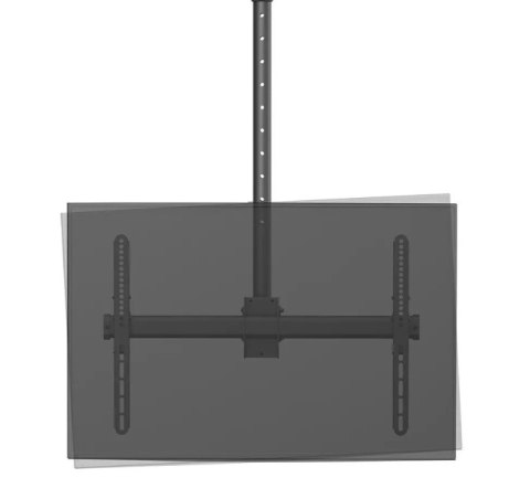 Uchwyt do monitora/TV CL35-440BL16L 37-70 cali 50kg Neomounts