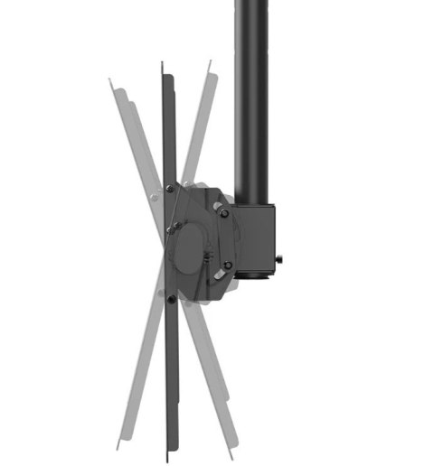 Uchwyt do monitora/TV CL35-440BL16L 37-70 cali 50kg Neomounts