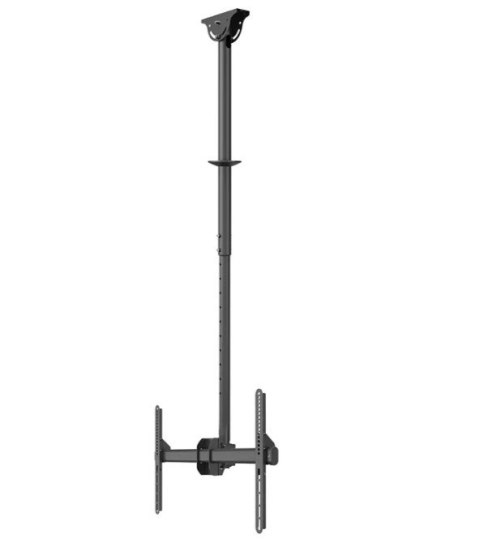 Uchwyt do monitora/TV CL35-440BL16L 37-70 cali 50kg Neomounts